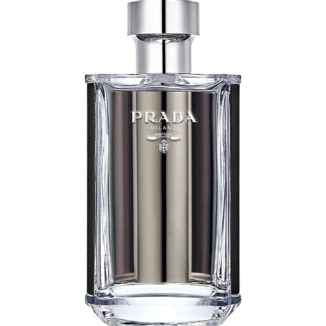 prada l'homme parfumo|Prada l'homme perfume review.